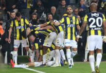 Fenerbahçe 2-1 Demir Grup Sivasspor
