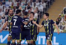 Fenerbahçe 2-1 Göztepe