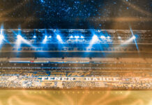 FENERBAHÇE DUVAR KAĞIDI